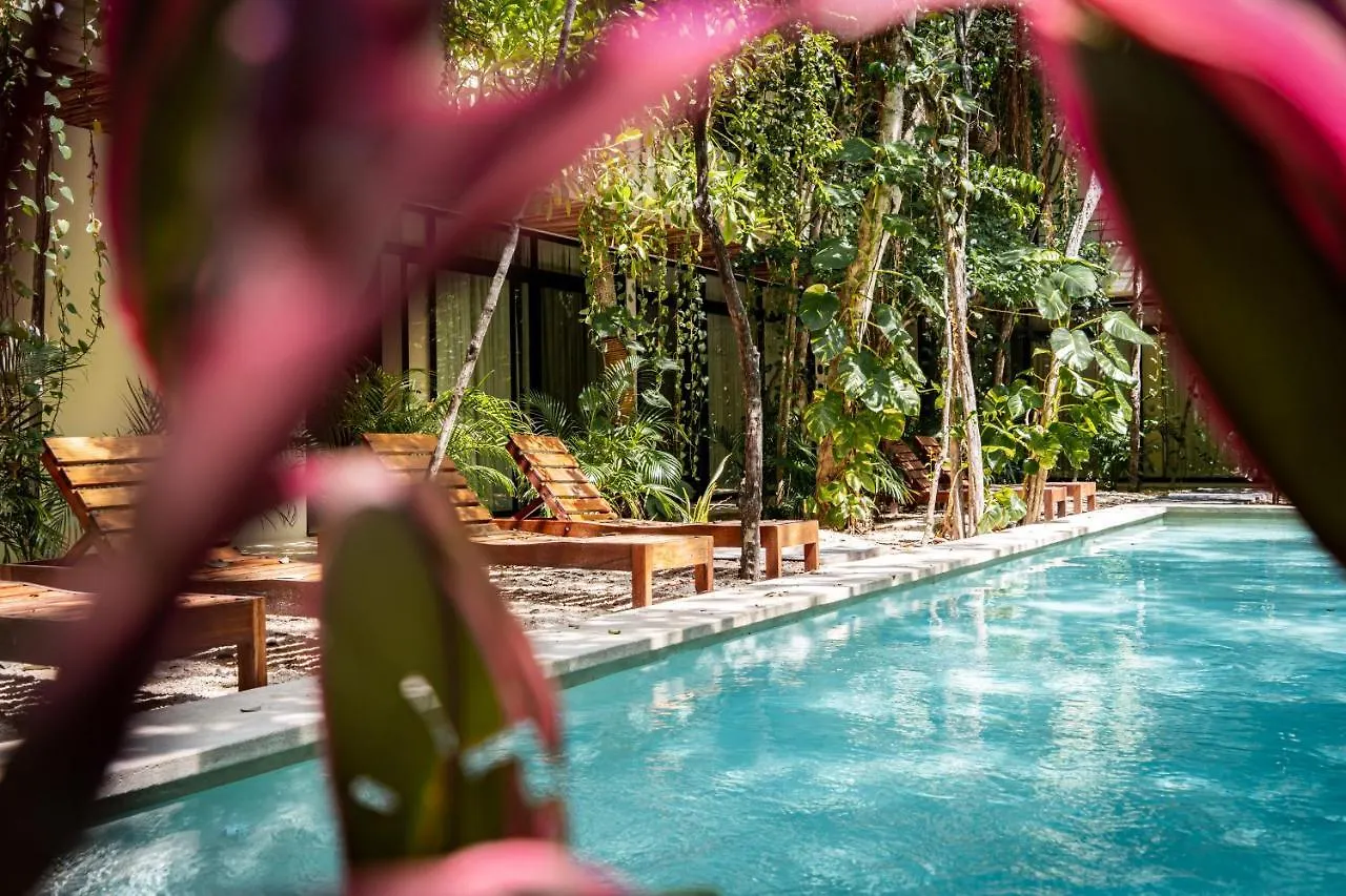 Casai - Bohemian Eco-Loft In La Veleta, Tulum - 2 Pools, Gym Apartment 0*,  Mexico