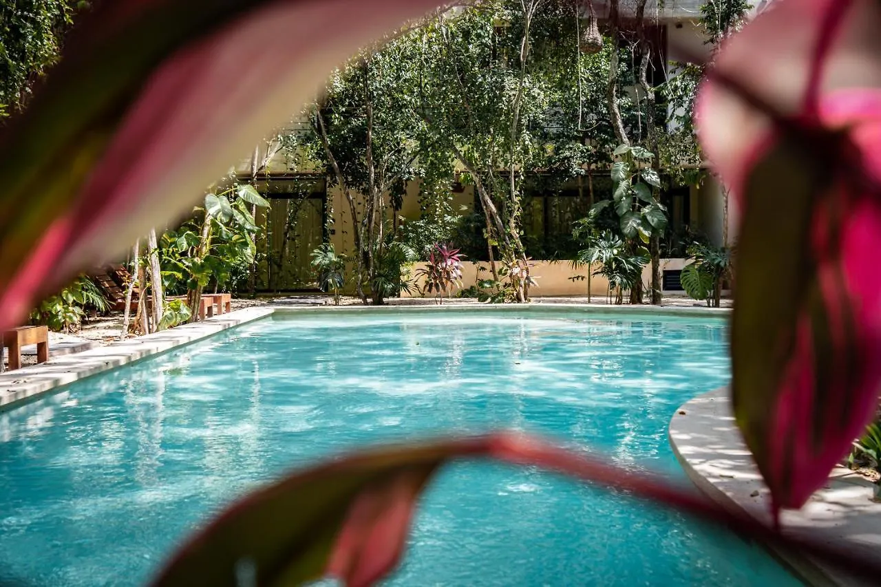 Casai - Bohemian Eco-Loft In La Veleta, Tulum - 2 Pools, Gym Apartment