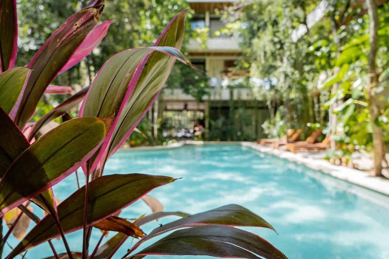 Casai - Bohemian Eco-Loft In La Veleta, Tulum - 2 Pools, Gym Apartment 0*,  Mexico