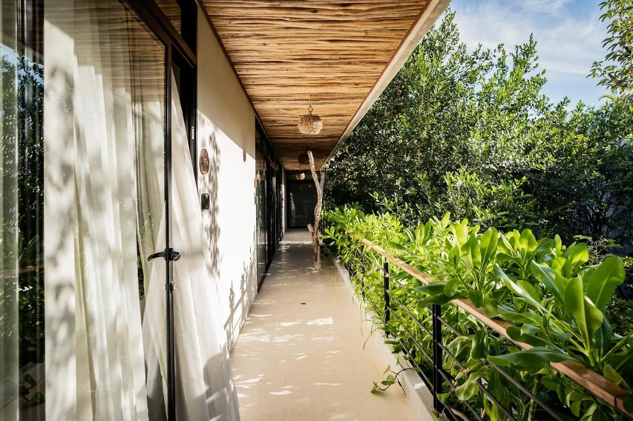 Casai - Bohemian Eco-Loft In La Veleta, Tulum - 2 Pools, Gym Apartment