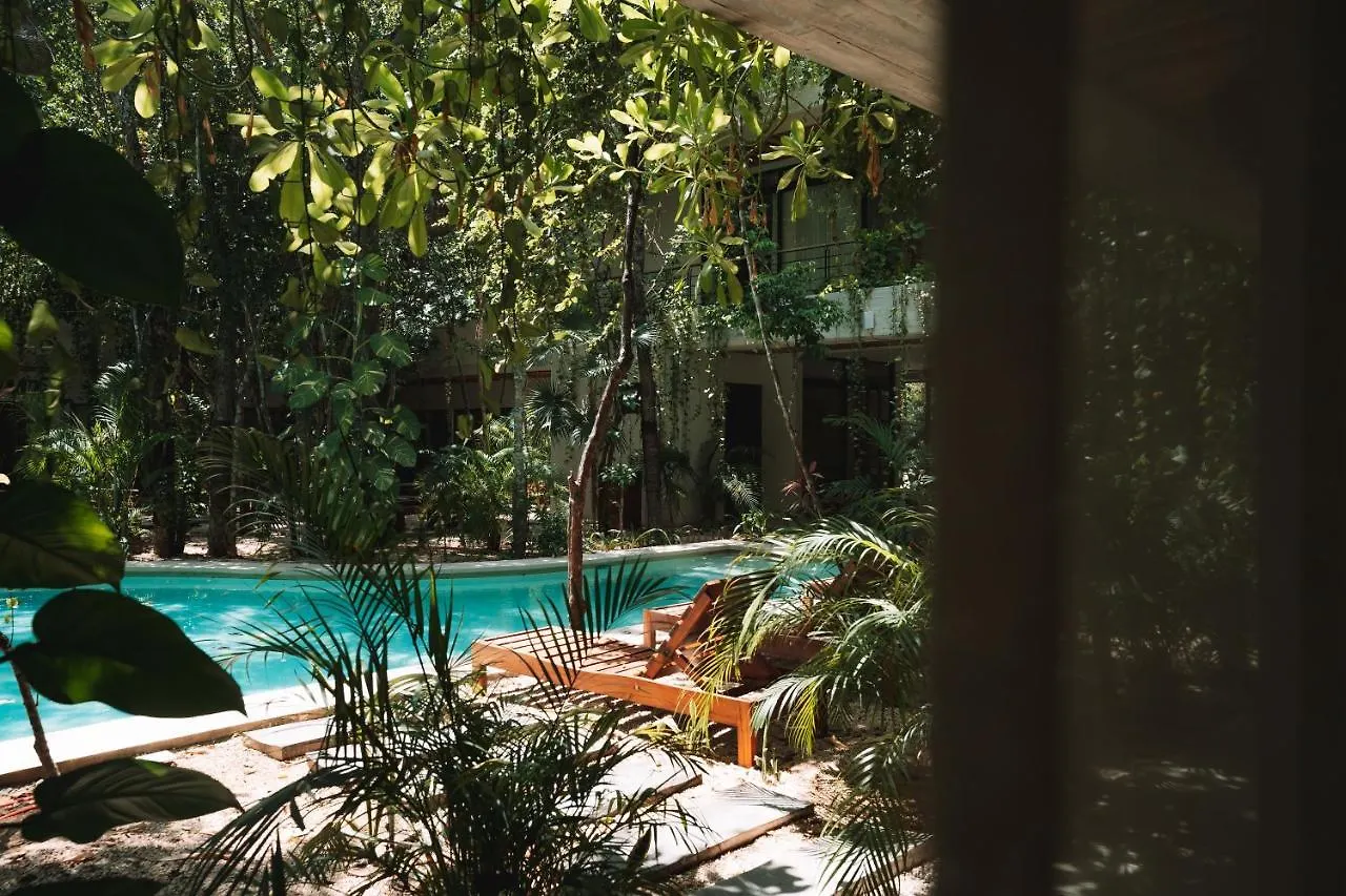 Casai - Bohemian Eco-Loft In La Veleta, Tulum - 2 Pools, Gym Apartment