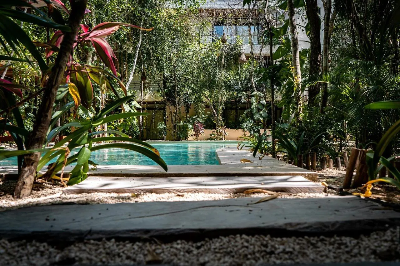 Casai - Bohemian Eco-Loft In La Veleta, Tulum - 2 Pools, Gym Apartment