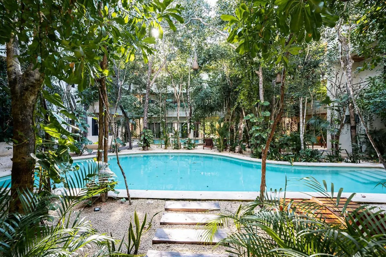 Casai - Bohemian Eco-Loft In La Veleta, Tulum - 2 Pools, Gym Apartment