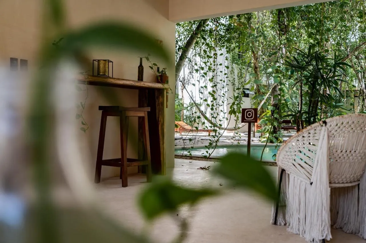 Casai - Bohemian Eco-Loft In La Veleta, Tulum - 2 Pools, Gym Apartment