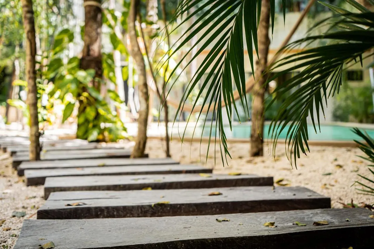 Casai - Bohemian Eco-Loft In La Veleta, Tulum - 2 Pools, Gym Apartment