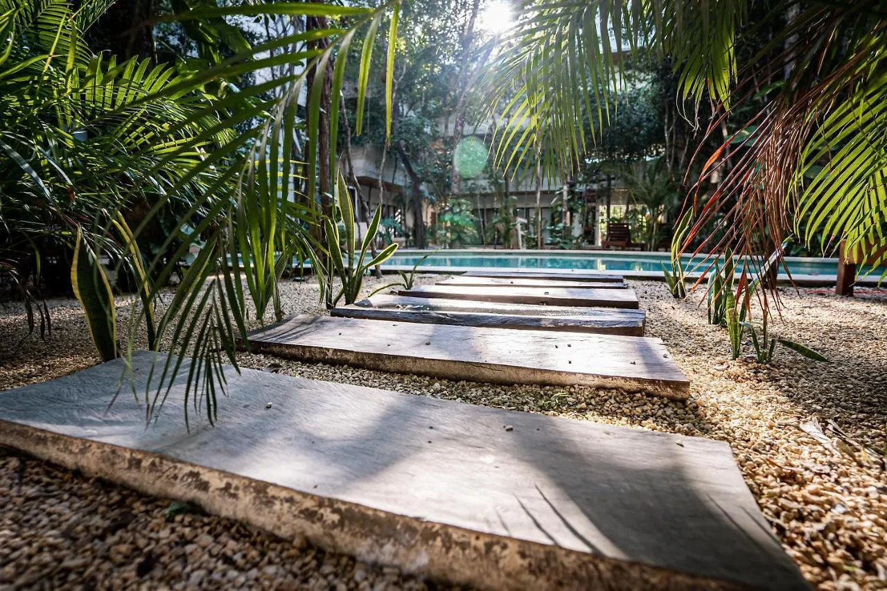 Casai - Bohemian Eco-Loft In La Veleta, Tulum - 2 Pools, Gym Apartment