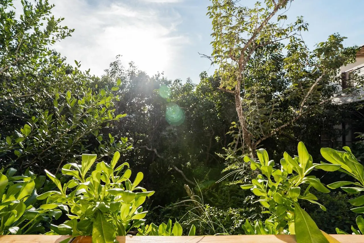 Casai - Bohemian Eco-Loft In La Veleta, Tulum - 2 Pools, Gym Apartment