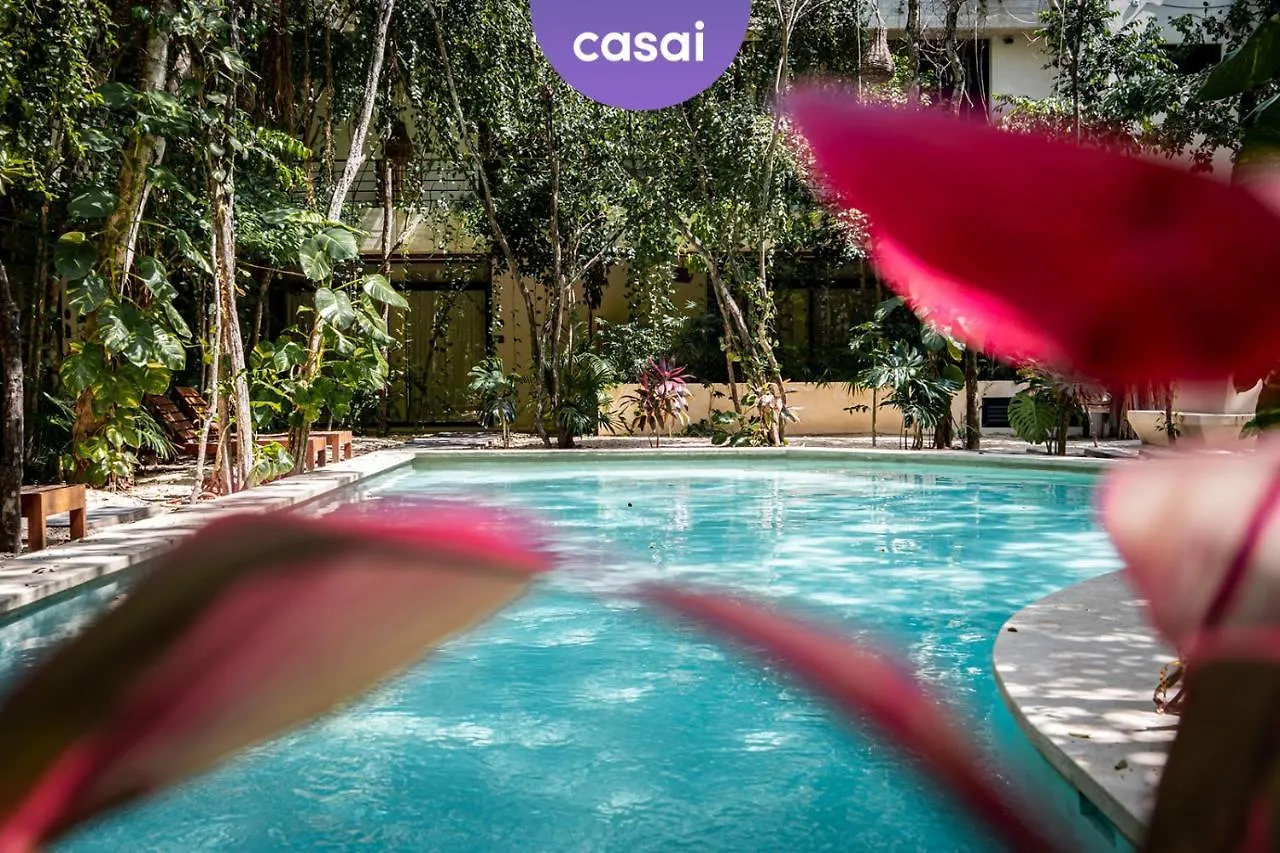 Casai - Bohemian Eco-Loft In La Veleta, Tulum - 2 Pools, Gym Apartment