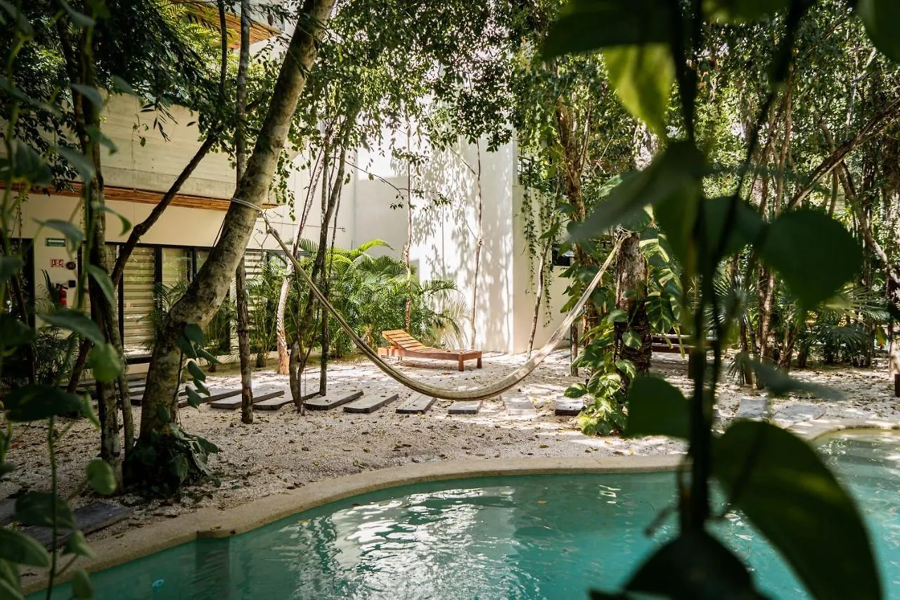 Casai - Bohemian Eco-Loft In La Veleta, Tulum - 2 Pools, Gym Apartment 0*,  Mexico