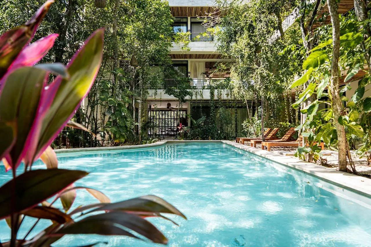 Casai - Bohemian Eco-Loft In La Veleta, Tulum - 2 Pools, Gym Apartment Mexico